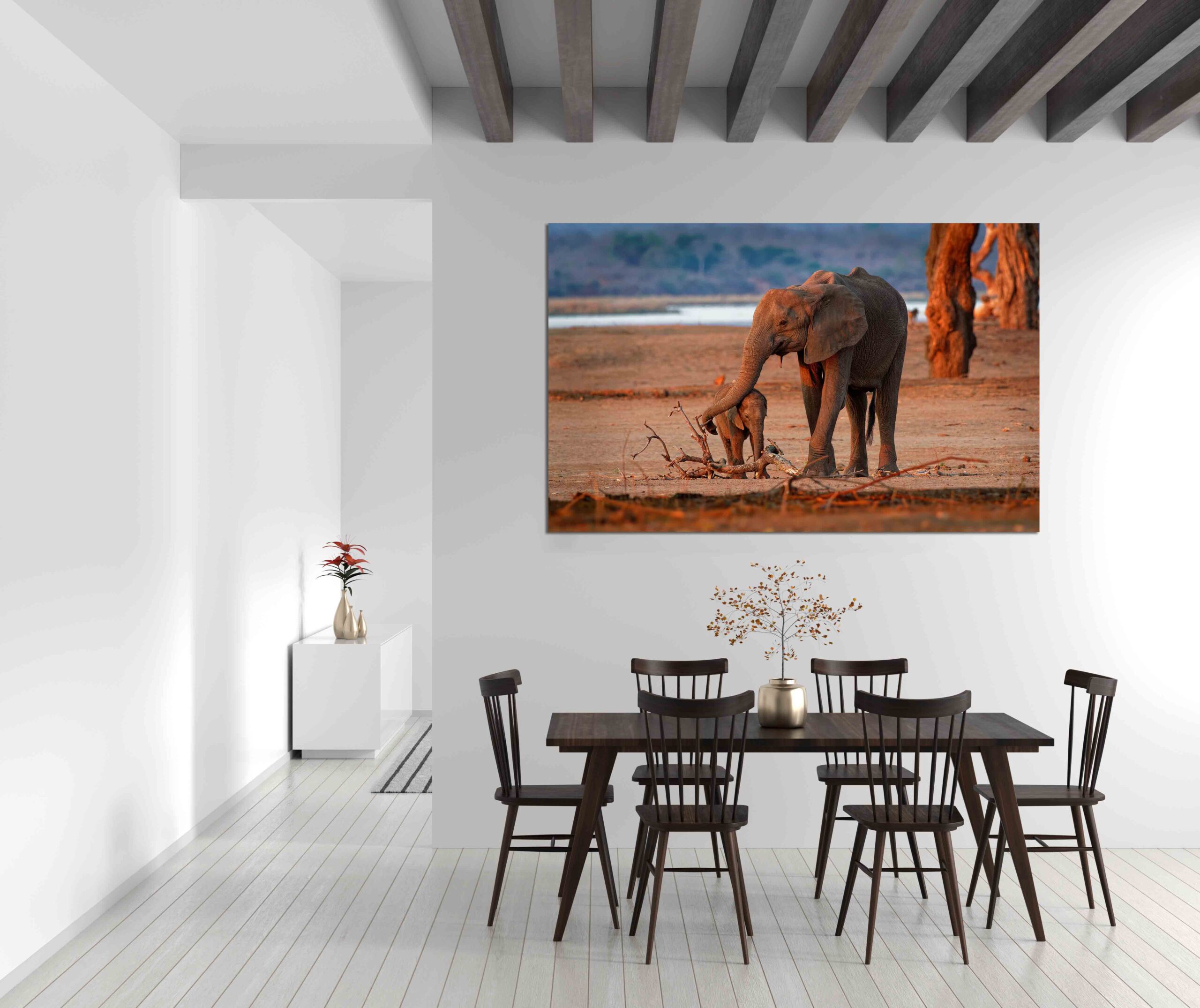 Canvas Print African Bush Elephant