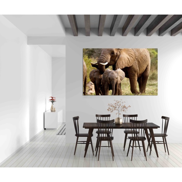 Canvas Print Elephant mother with cubs