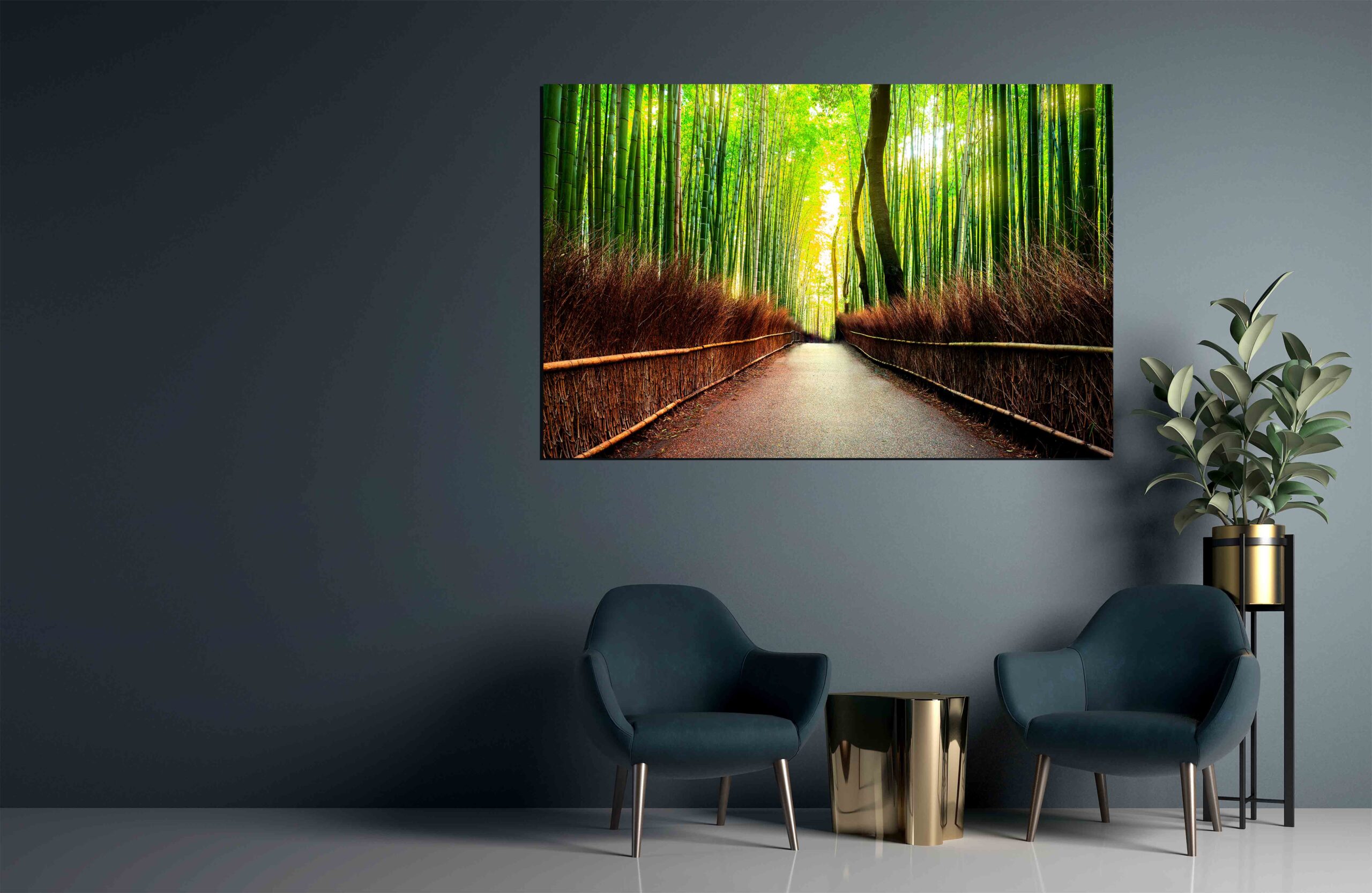 Road in Bamboo forest