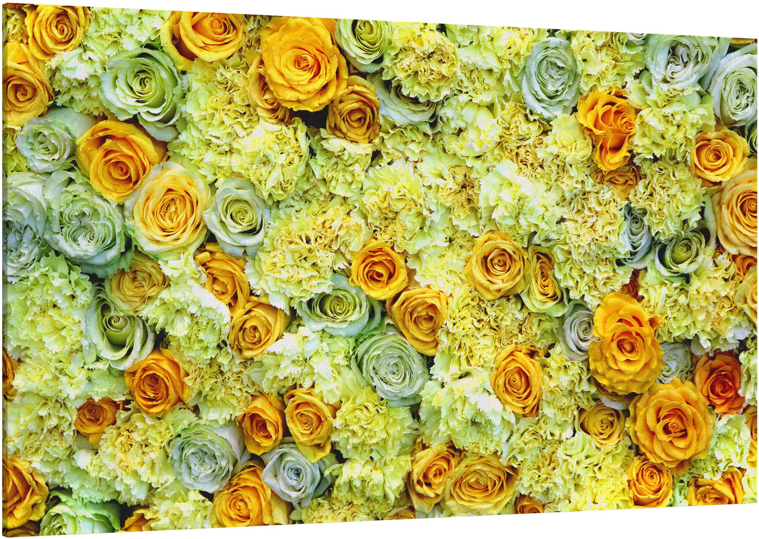 Canvas Print Roses and Carnations