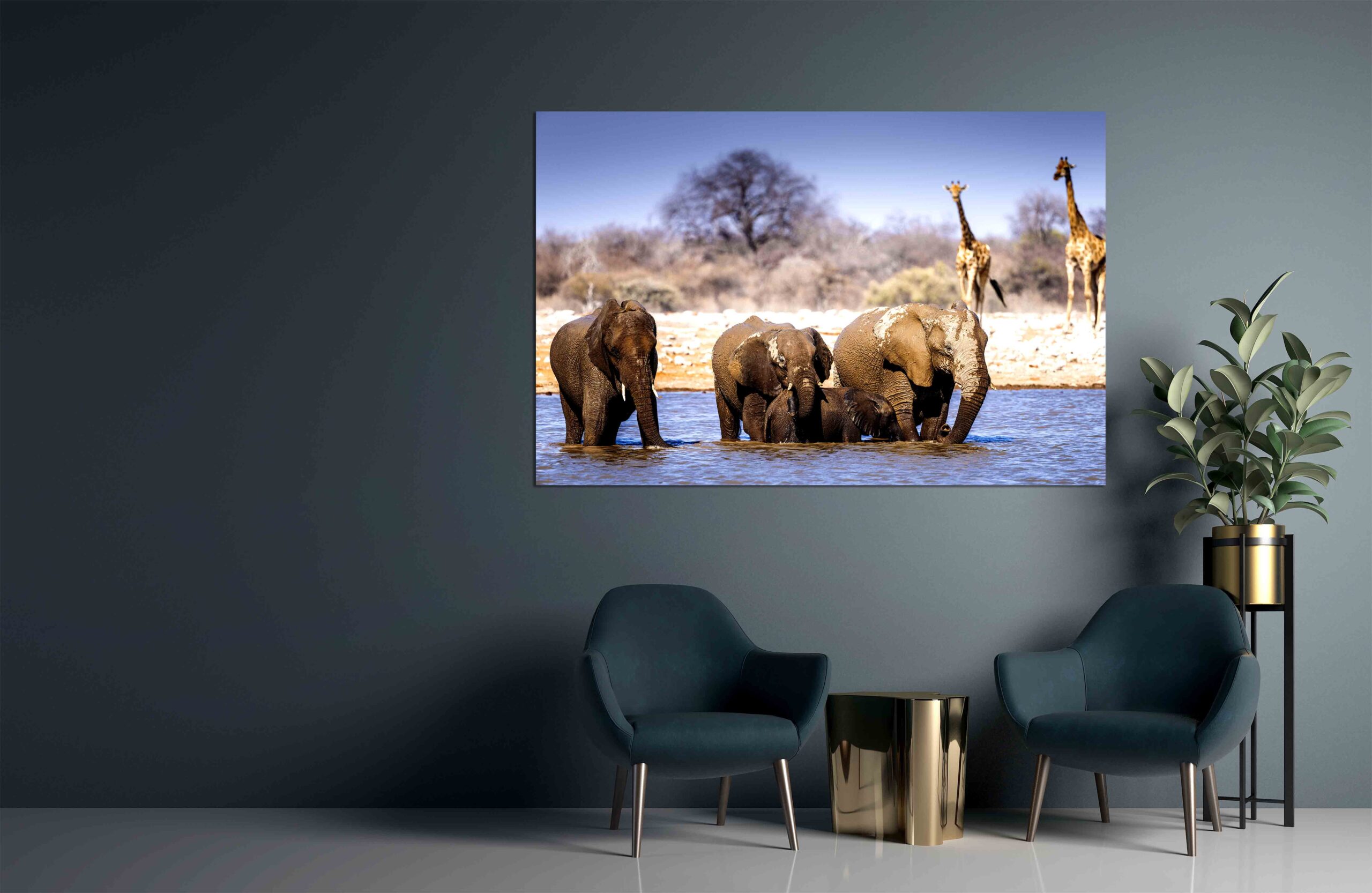 Canvas Print Elephants at the waterhole
