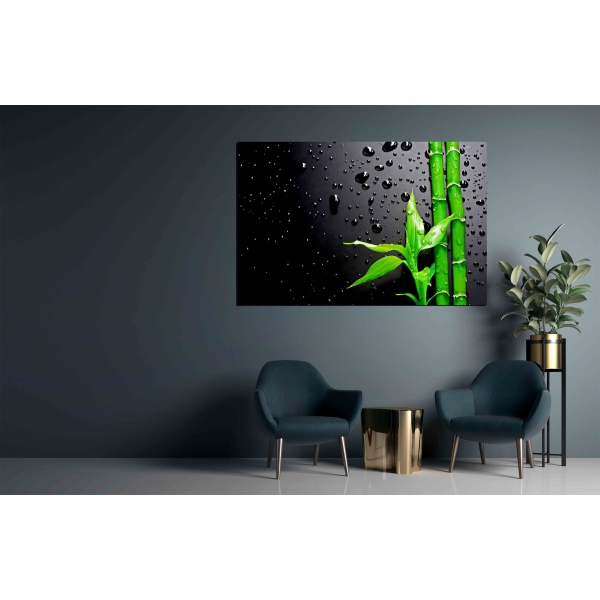 Canvas Print Bamboo over Black