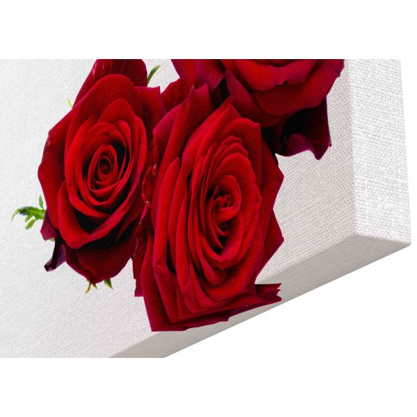 Canvas Print three dark red roses