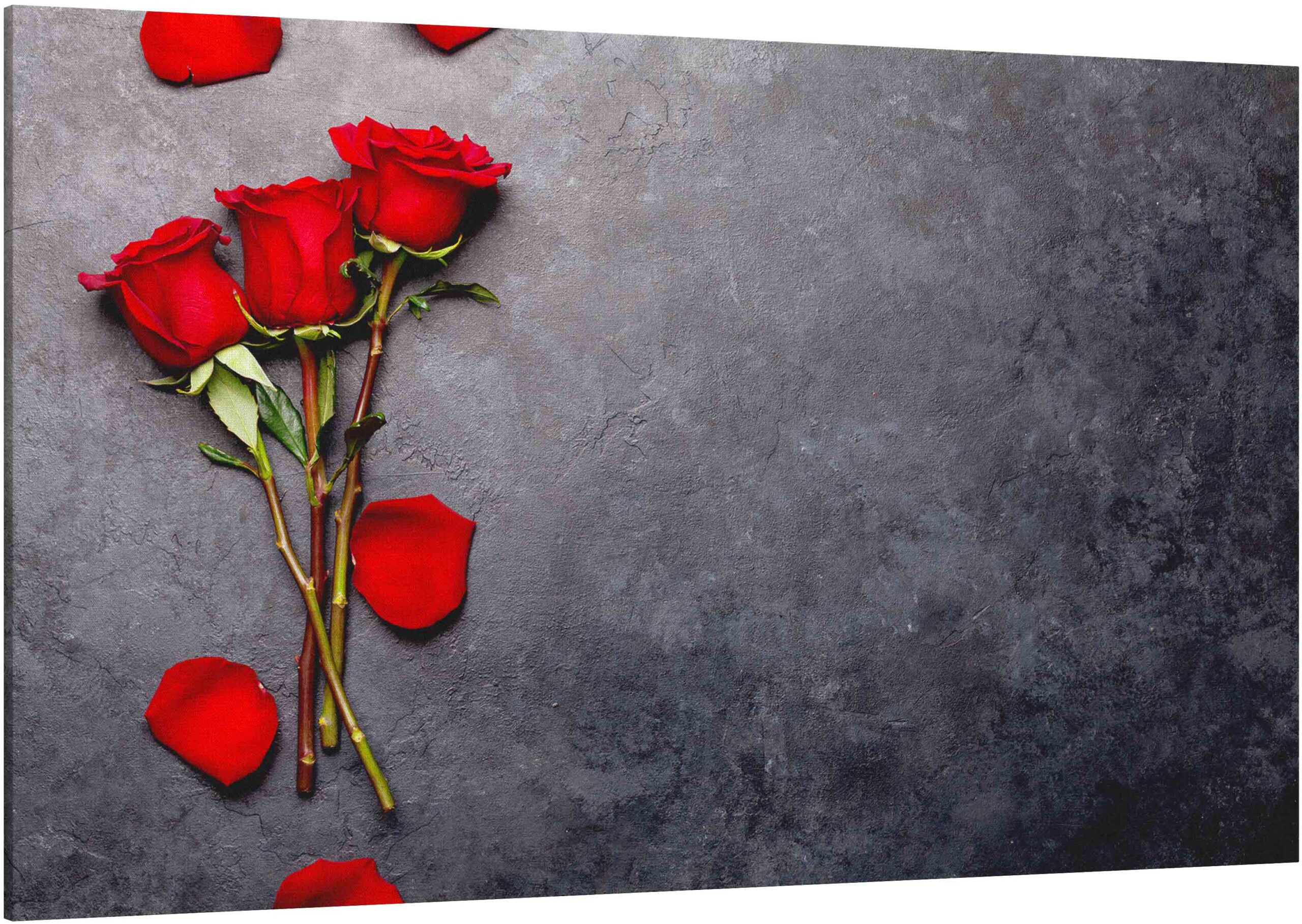 Canvas Print Valentine's day & rose flowers