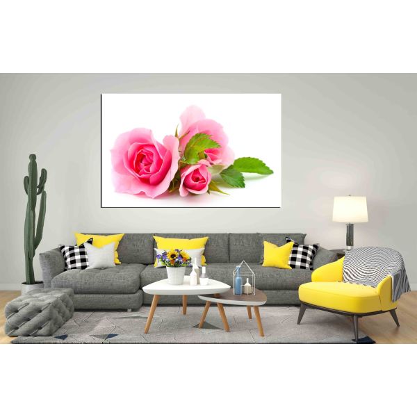 Canvas Print Beautiful pink roses