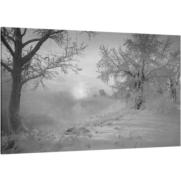 Canvas Print Winter landscape