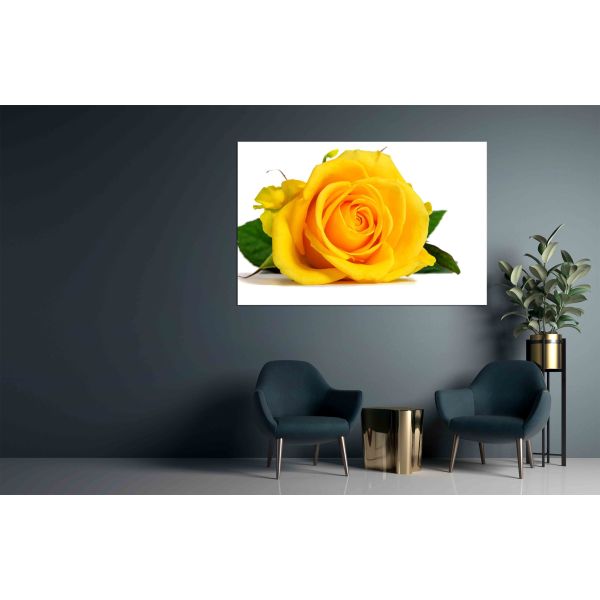 Canvas Print Yellow rose