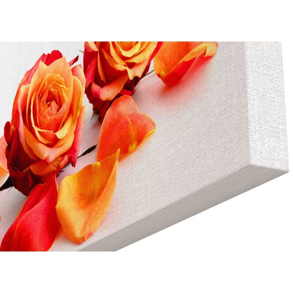 Canvas Print Two-tone rose petals
