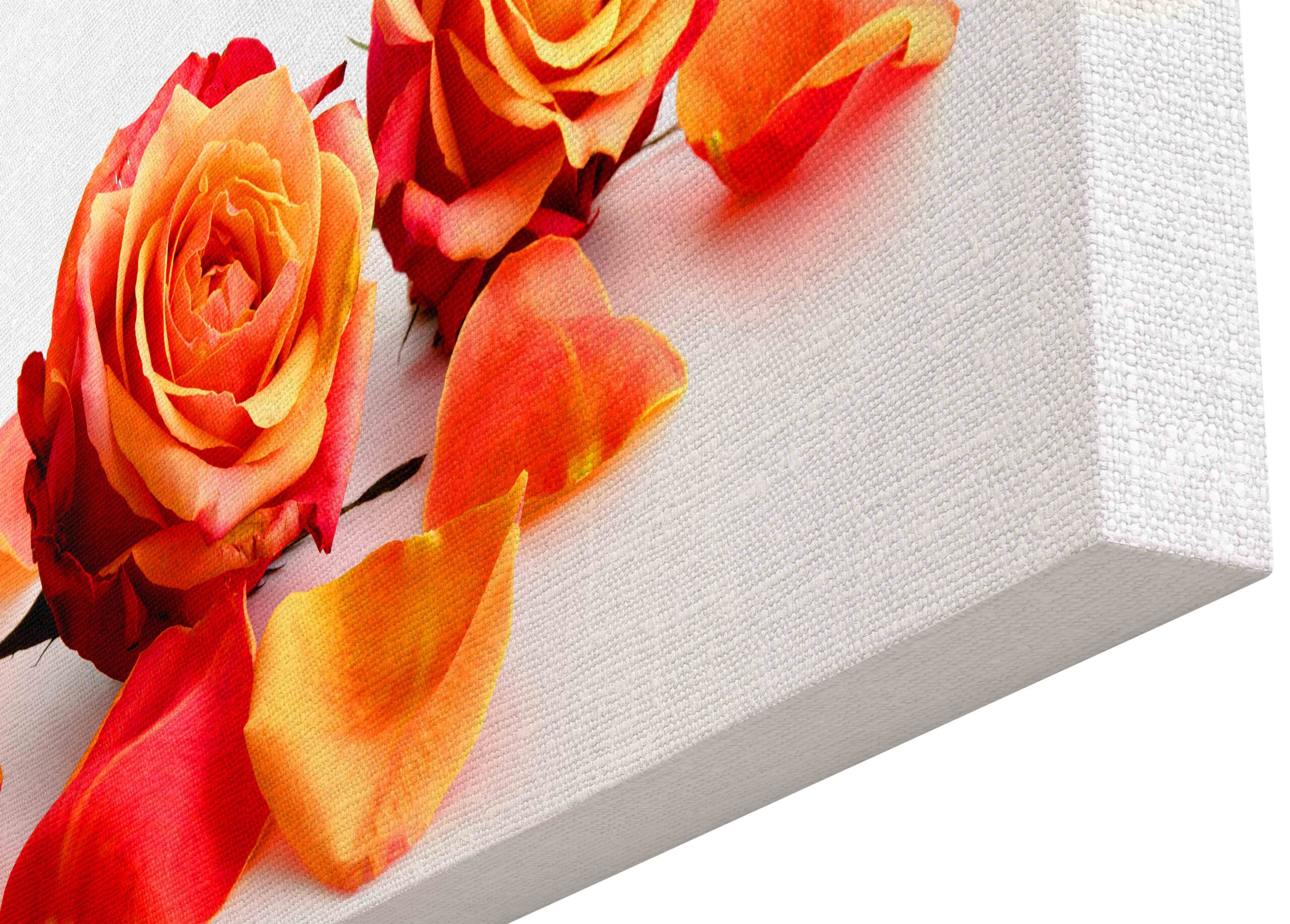 Canvas Print Two-tone rose petals