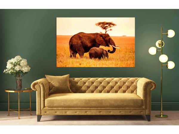 Canvas Print Parent African Elephant
