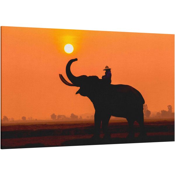 Silhouette elephant in the sunset.