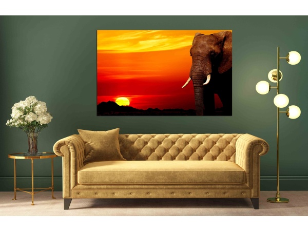Canvas Print African elephant at sunset
