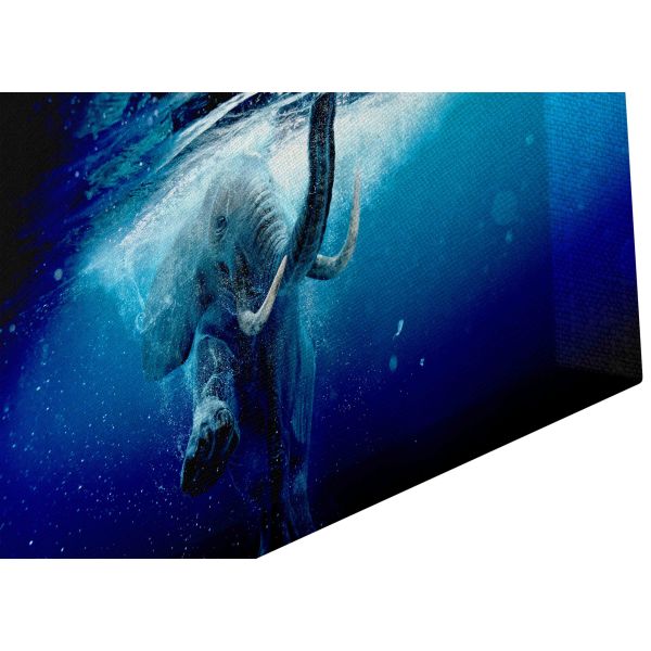 Canvas Print Swimming Elephant