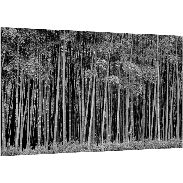 Canvas Print Bamboo Trees