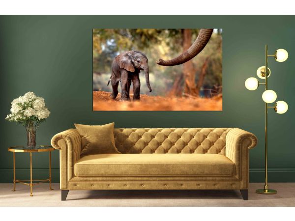 Canvas Print Trunk with a young pup