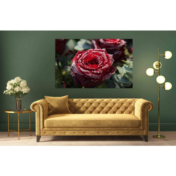 Canvas Print Frosted Red Rose