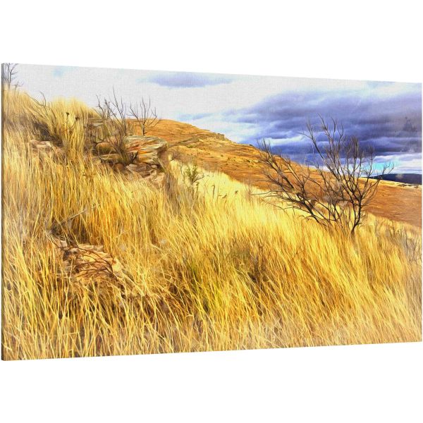 Canvas Print Beautifull hills