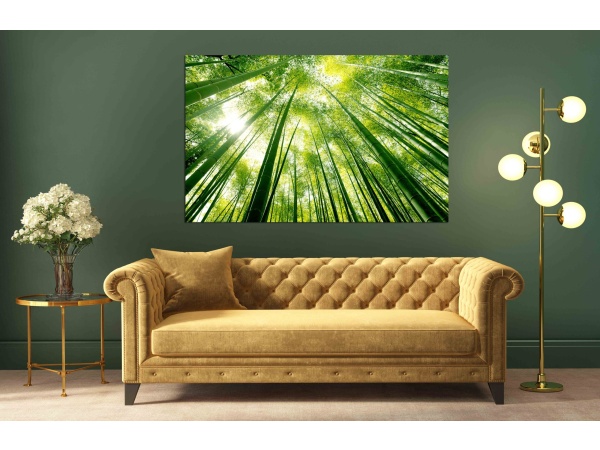 Canvas Print Bamboo Forest