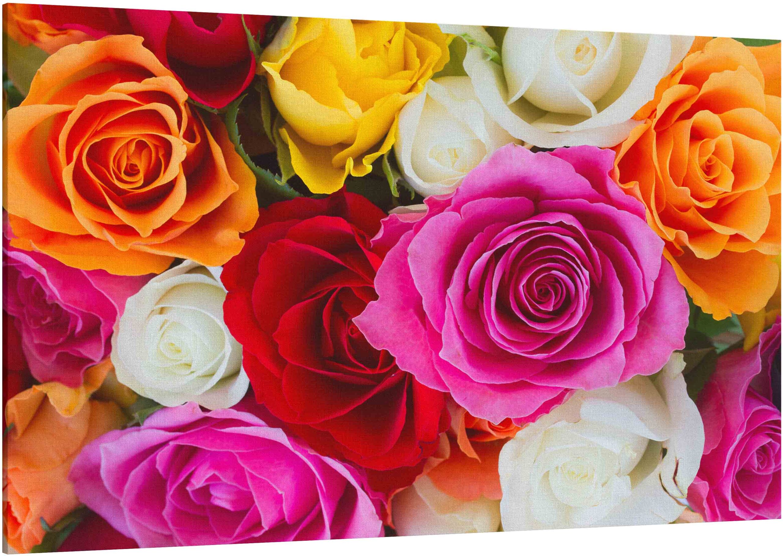 Canvas Print Bouquet of fresh Roses