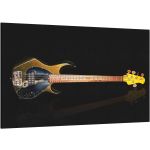 Bass Guitar