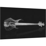 Bass Guitar