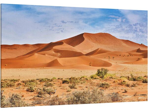 Desert of Namib with Orange Dunes