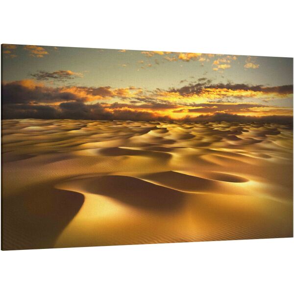 Desert with sand dunes